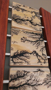 High Voltage Lichtenberg Wall Art - Clear Pine, Bubinga, and Stainless Steel